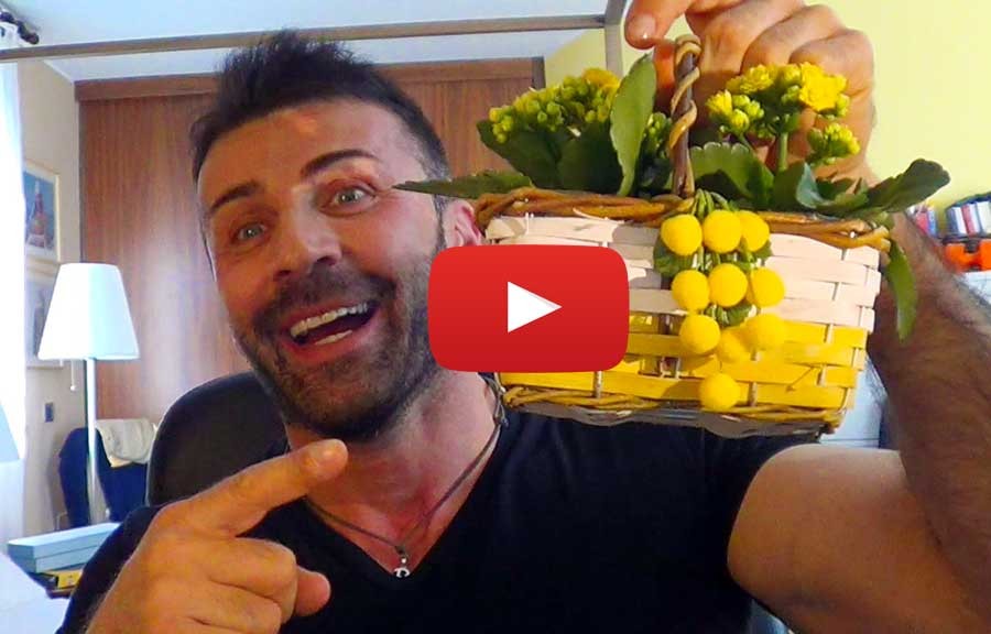 Gigolo carnivoro per donne vegetariane